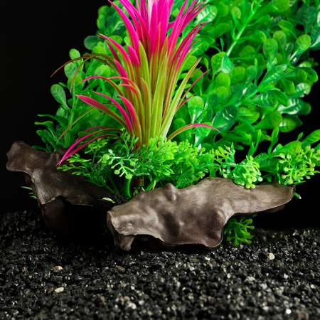Растение для аквариума Пижон Аква на платформе в виде коряги 40 см зелёное