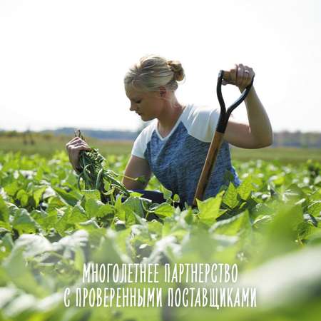 Пюре Gerber зеленый горошек-брокколи и кабачок 125г с 7месяцев