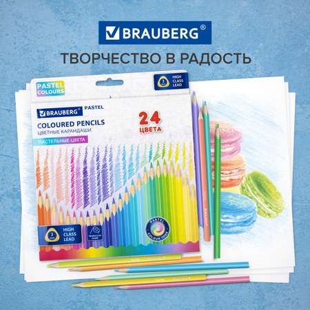Карандаши цветные Brauberg деревянные для рисования 24 пастельных цвета