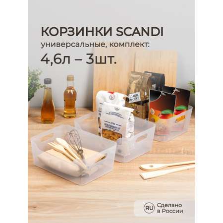 Комплект Econova универсальных корзинок SCANDI 4.6л - 3шт. прозрачный