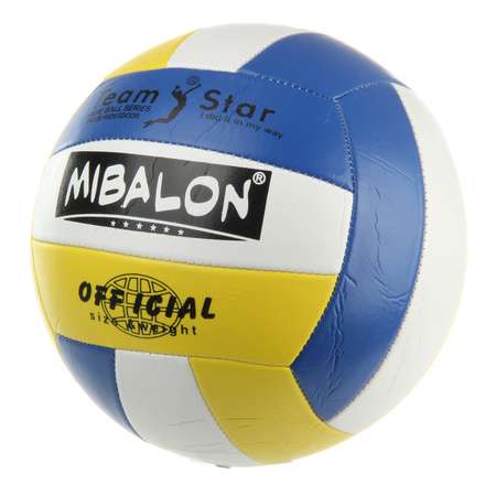 Мяч Veld Co волейбольный размер 5