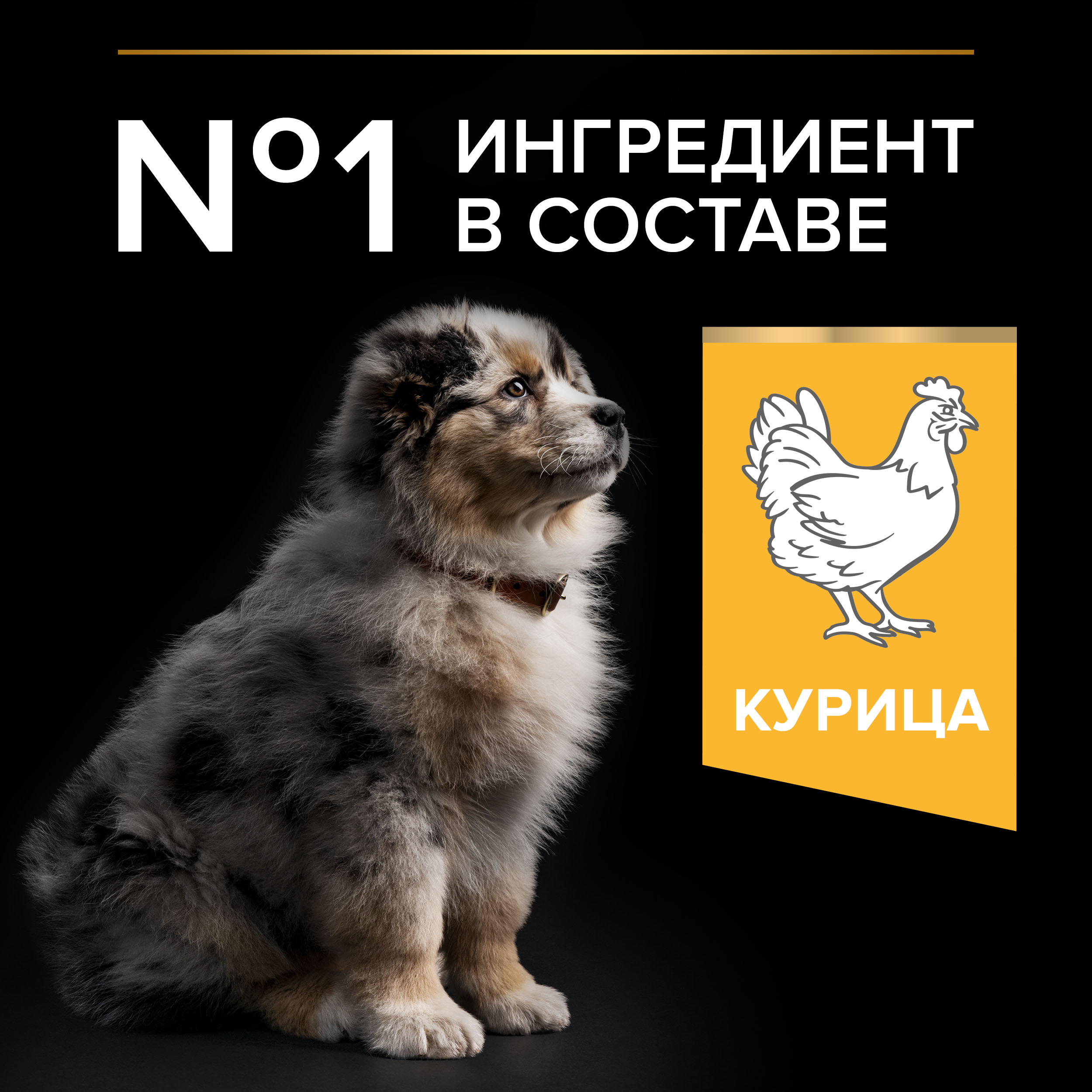 Сухой корм для собак PRO PLAN 12 кг курица (для беременных и кормящих, полнорационный) - фото 4