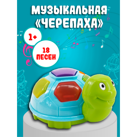 Игрушка развивающая Red box Музыкальная черепаха 23551-1