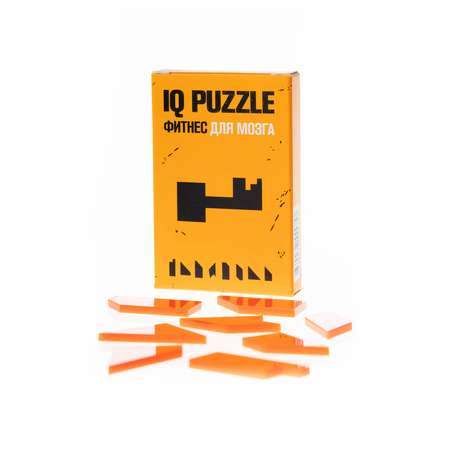 Настольная игра IQ PUZZLE Головоломка