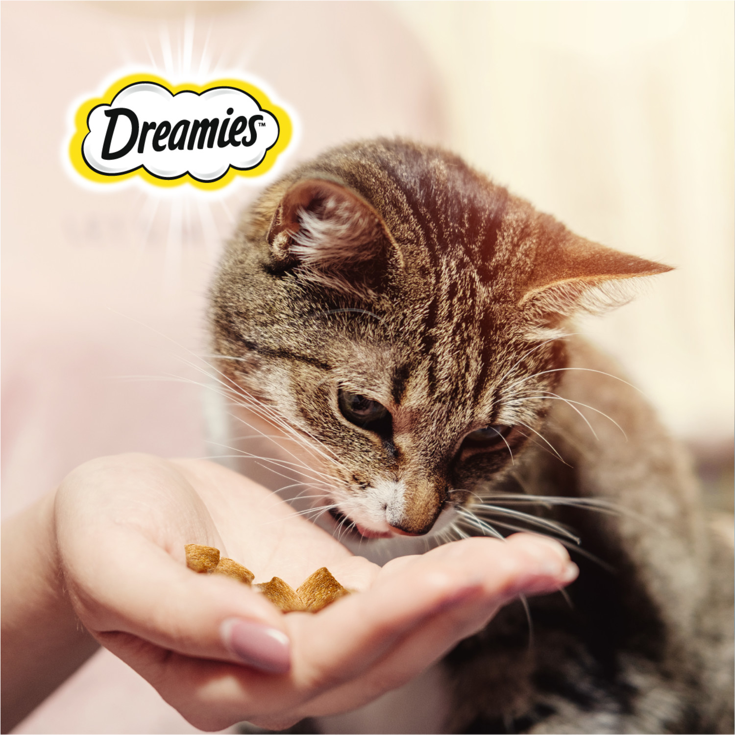 Лакомство для кошек Dreamies 140г с лососем - фото 7