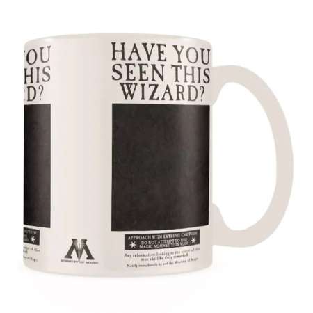 Кружка Pyramid Harry Potter Heat Changing Mug 315ml SCMG25012