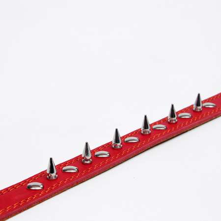 Ошейник Пижон кожаный двухслойный шипованный 63 х 3 см ОШ 40-55 см красный