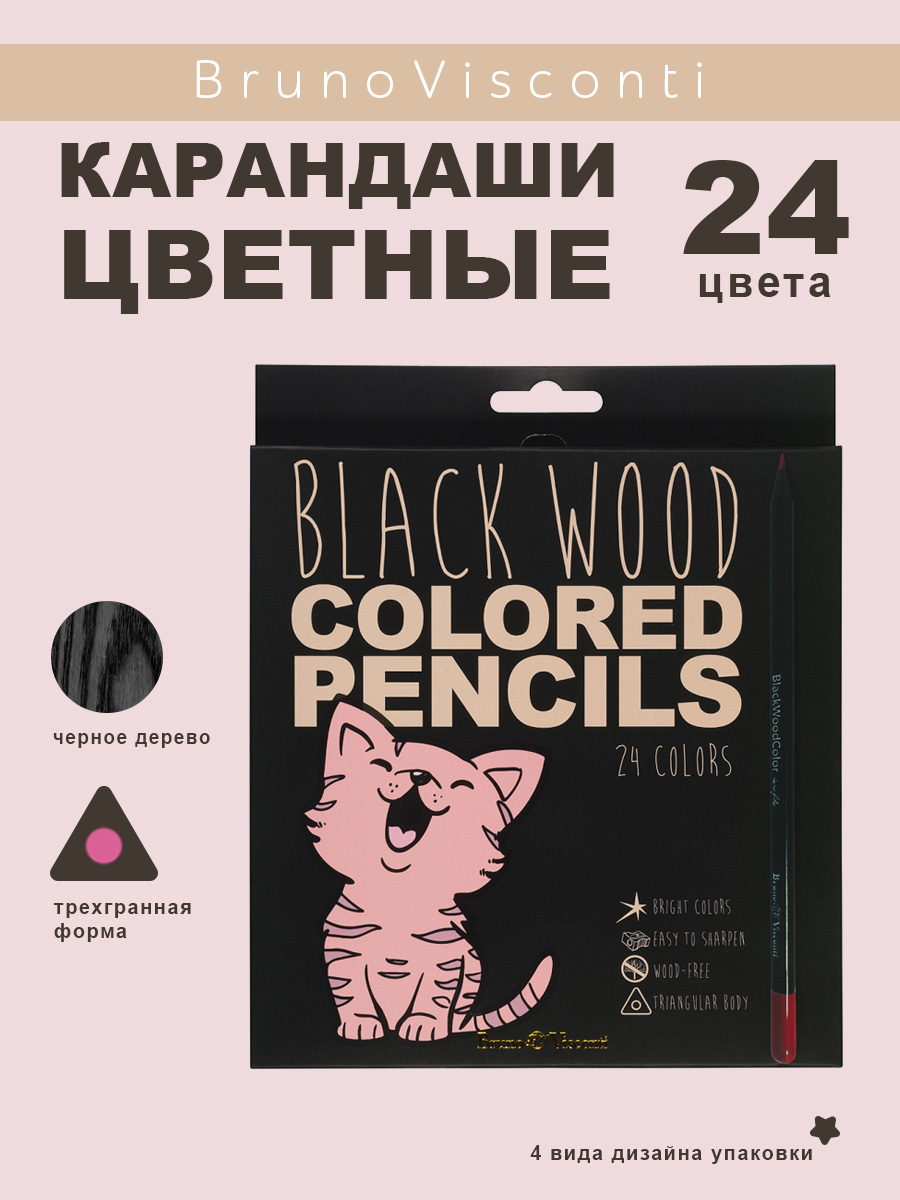 Карандаши цветные Bruno Visconti BlackWoodColor 24 цвета пластиковые - фото 1