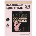 Карандаши цветные Bruno Visconti BlackWoodColor 24 цвета пластиковые