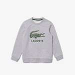 Свитшот Lacoste