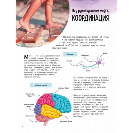 Книга Эксмо Тело человека 25 увлекательных опытов шаг за шагом