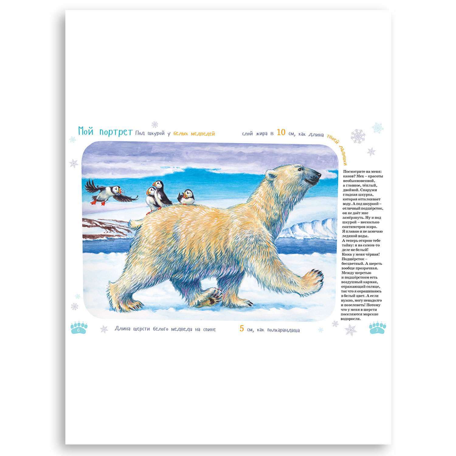 Книга Альпина. Дети Я Белый медведь c раскрасками - фото 4