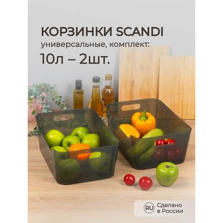 Комплект корзинок Econova SCANDI 10л - 2шт. черный прозрачный