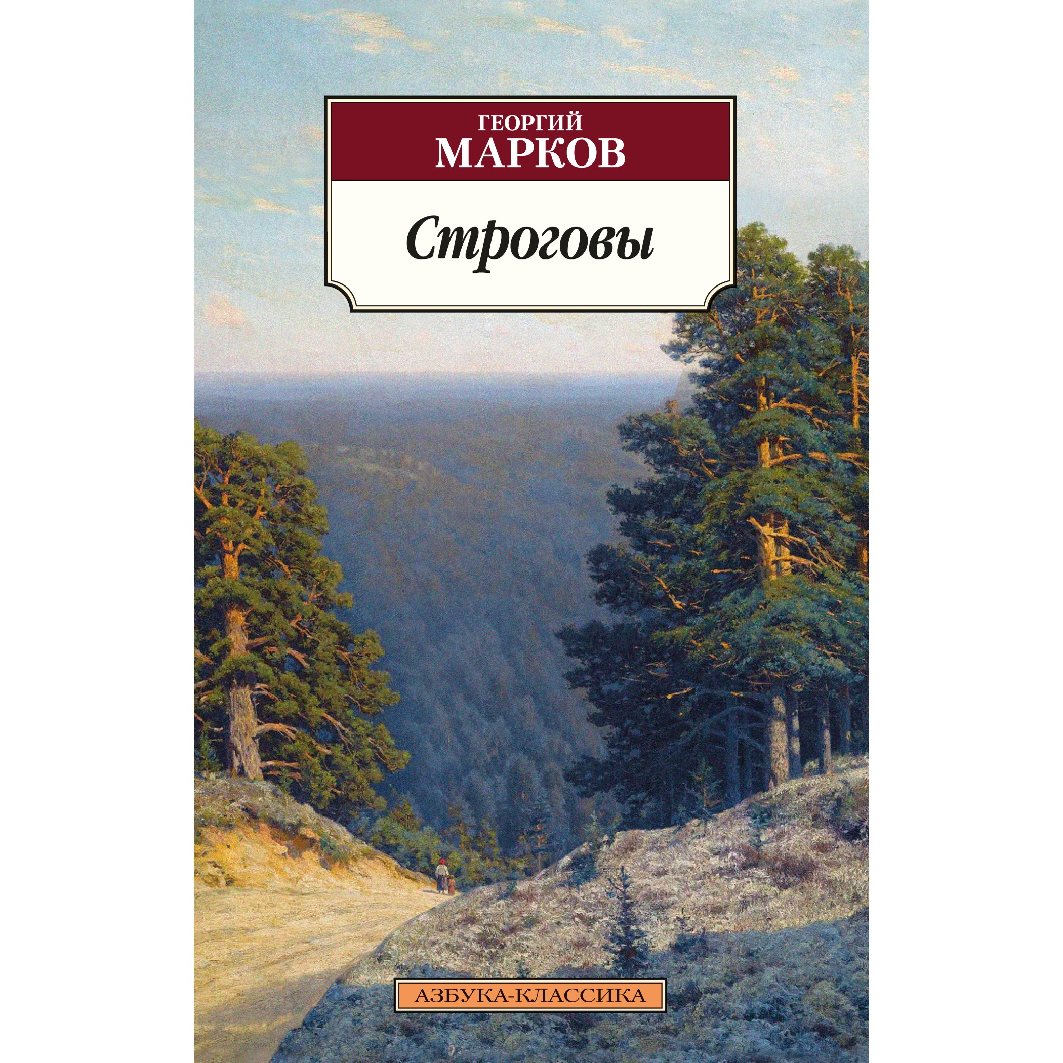 Книга АЗБУКА Строговы - фото 1