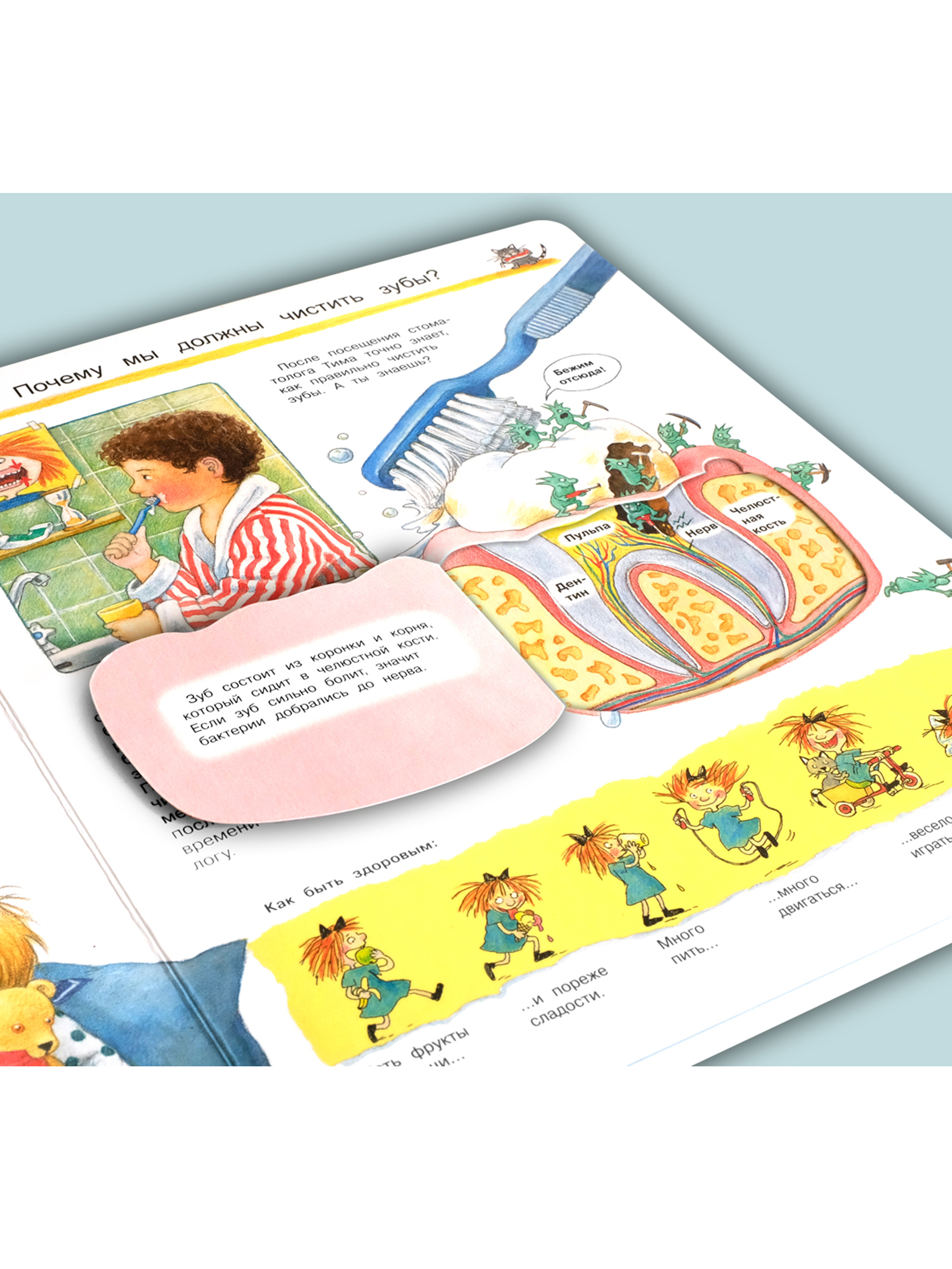 Книга Омега-Пресс Энциклопедия для детей с окошками Что? Почему? Зачем? Изучаем наше тело - фото 15