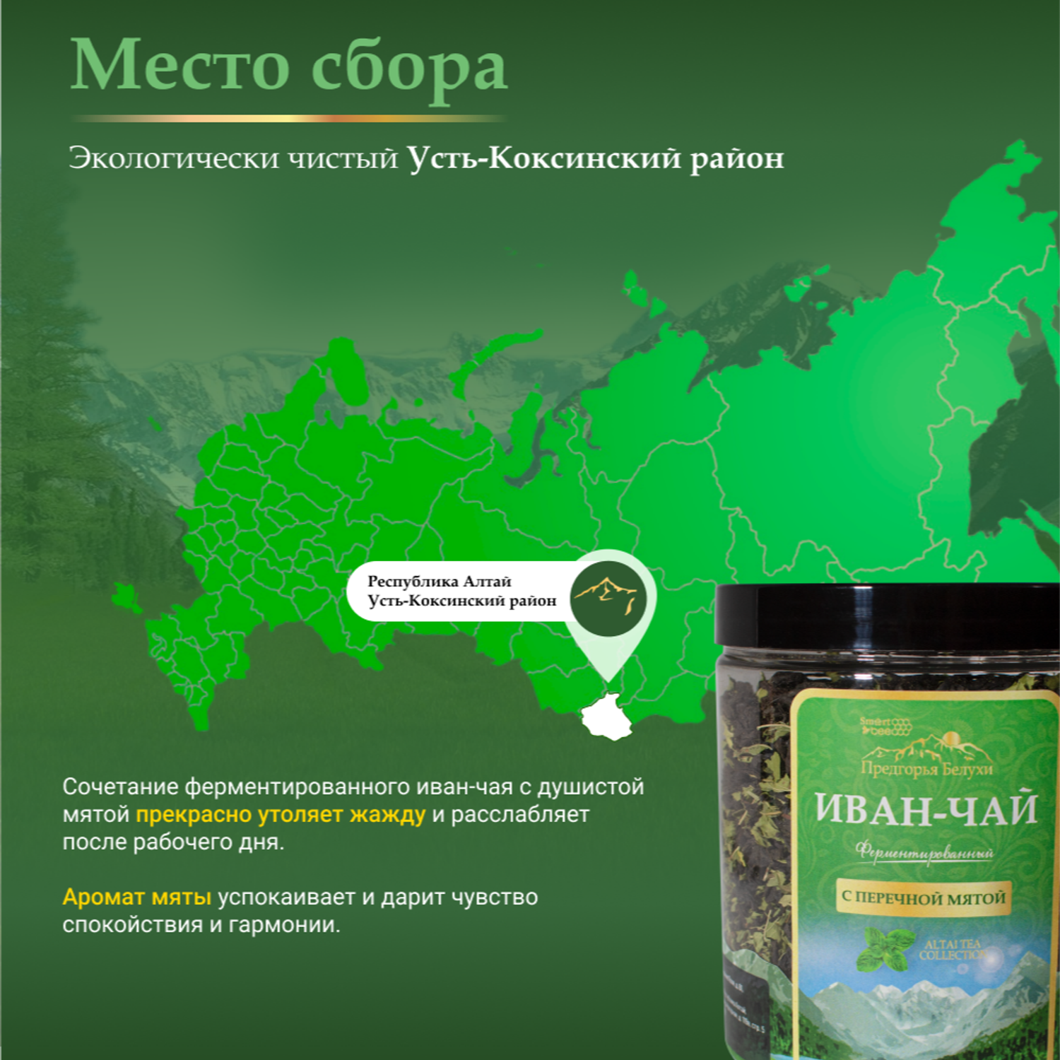 Напиток чайный Предгорья Белухи Иван чай ферментированный с перечной мятой 100 г - фото 6