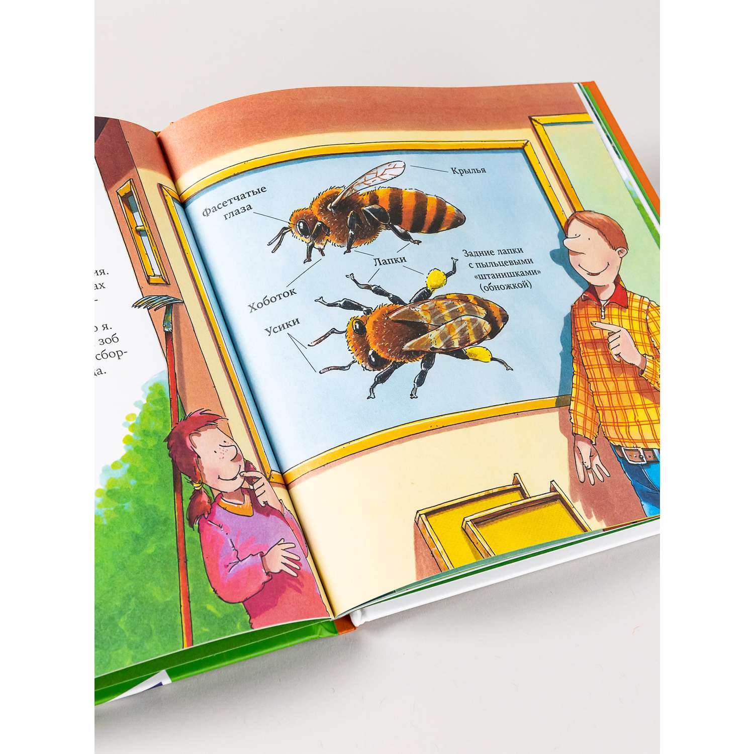 Книга Альпина. Дети Пчеловод - фото 11
