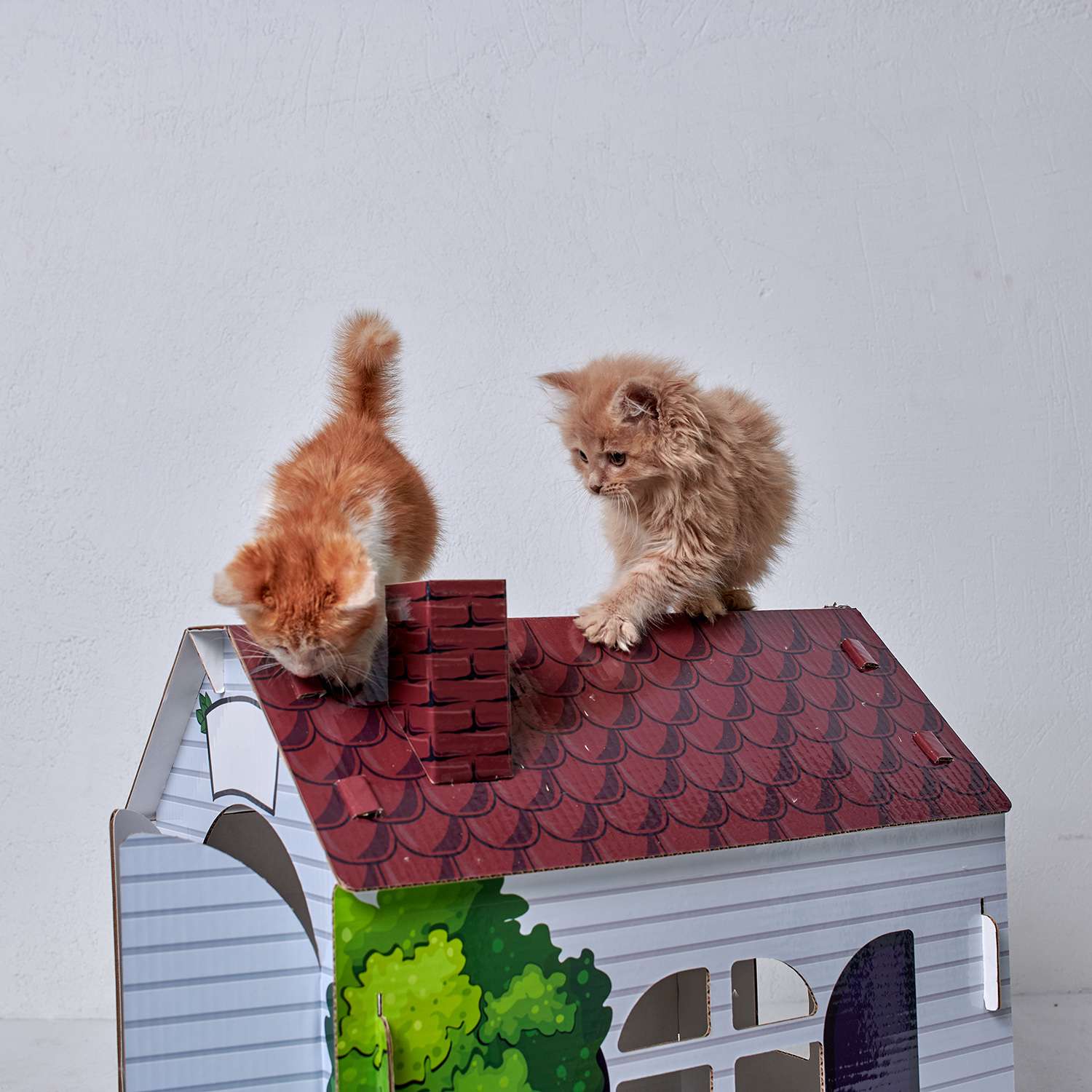 Домик MASKBRO улучшенный картонный для кошек и собак с когтеточкой матовый - фото 10