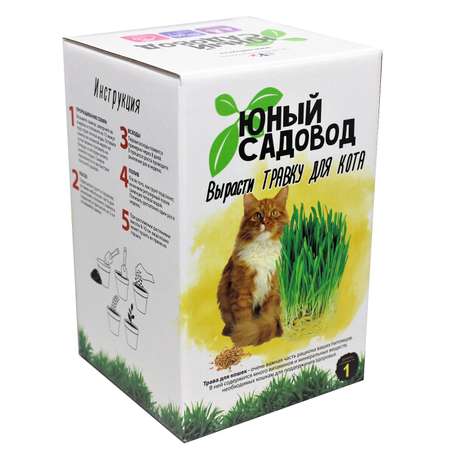 Набор ВИСМА Для выращивания Юный садовод травка для кота