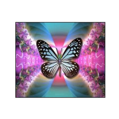 Алмазная мозаика Seichi Бабочка 40х50 см