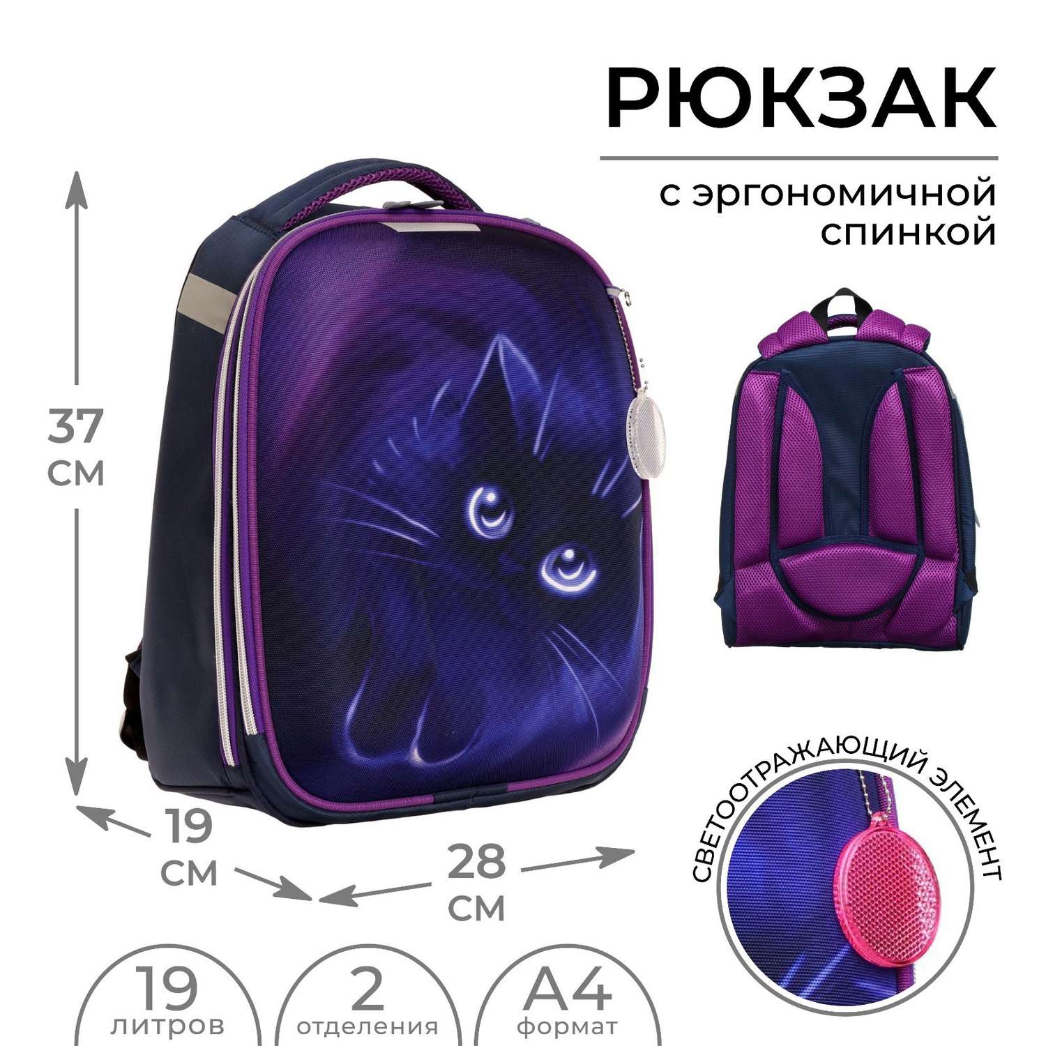 Рюкзак каркасный школьный Calligrata «Котик». 37 х 28 х 19 см - фото 1