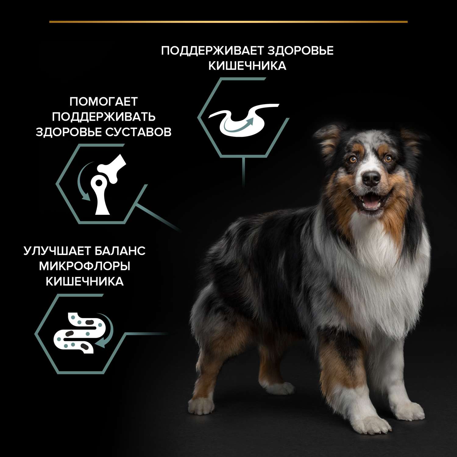 Корм для собак PRO PLAN средних пород с чувствительным пищеварением с комплексом Optidigest ягненок с рисом 3кг - фото 5