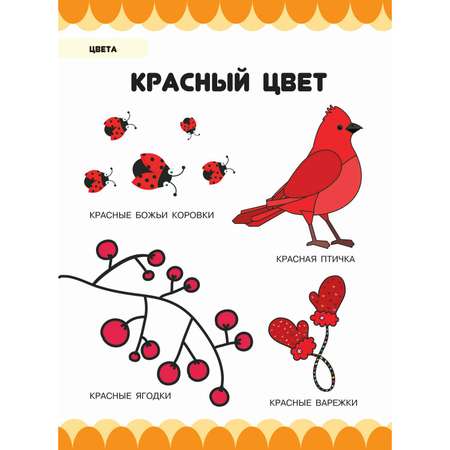 Книга Харвест познавательная для детей. Комплект обучающих пособий 6 шт. Умный малыш