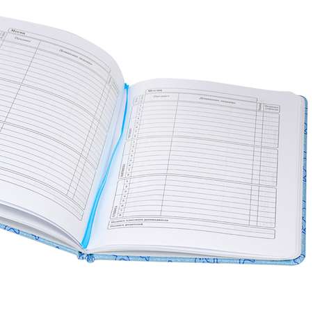 Дневник школьный Prof-Press Серебристое море 48 листов универсальный