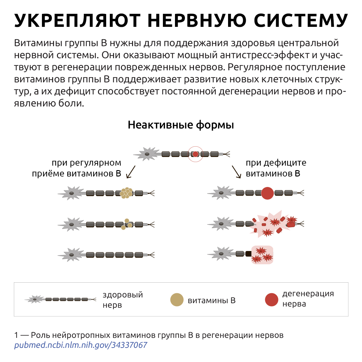 БАД UltraBalance B-complex extra, биотин 60 капсул - фото 11