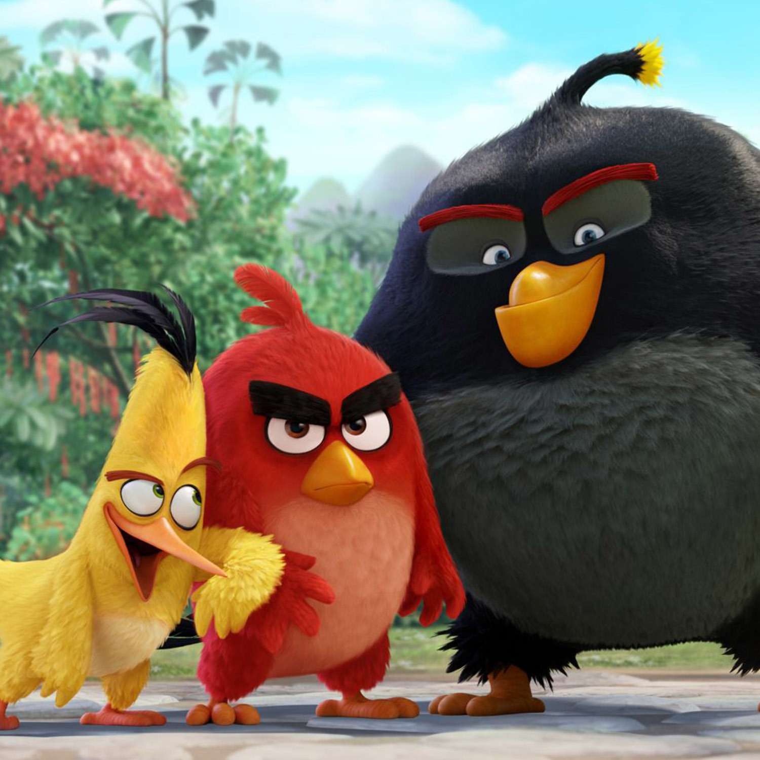 Набор ракеток InSummer Angry Birds - фото 2