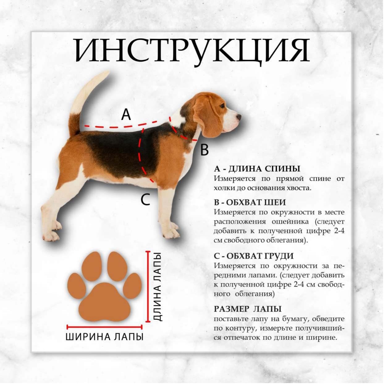 Куртка для собак Sima-Land двухсторонняя M бежевая/коричневая - фото 4