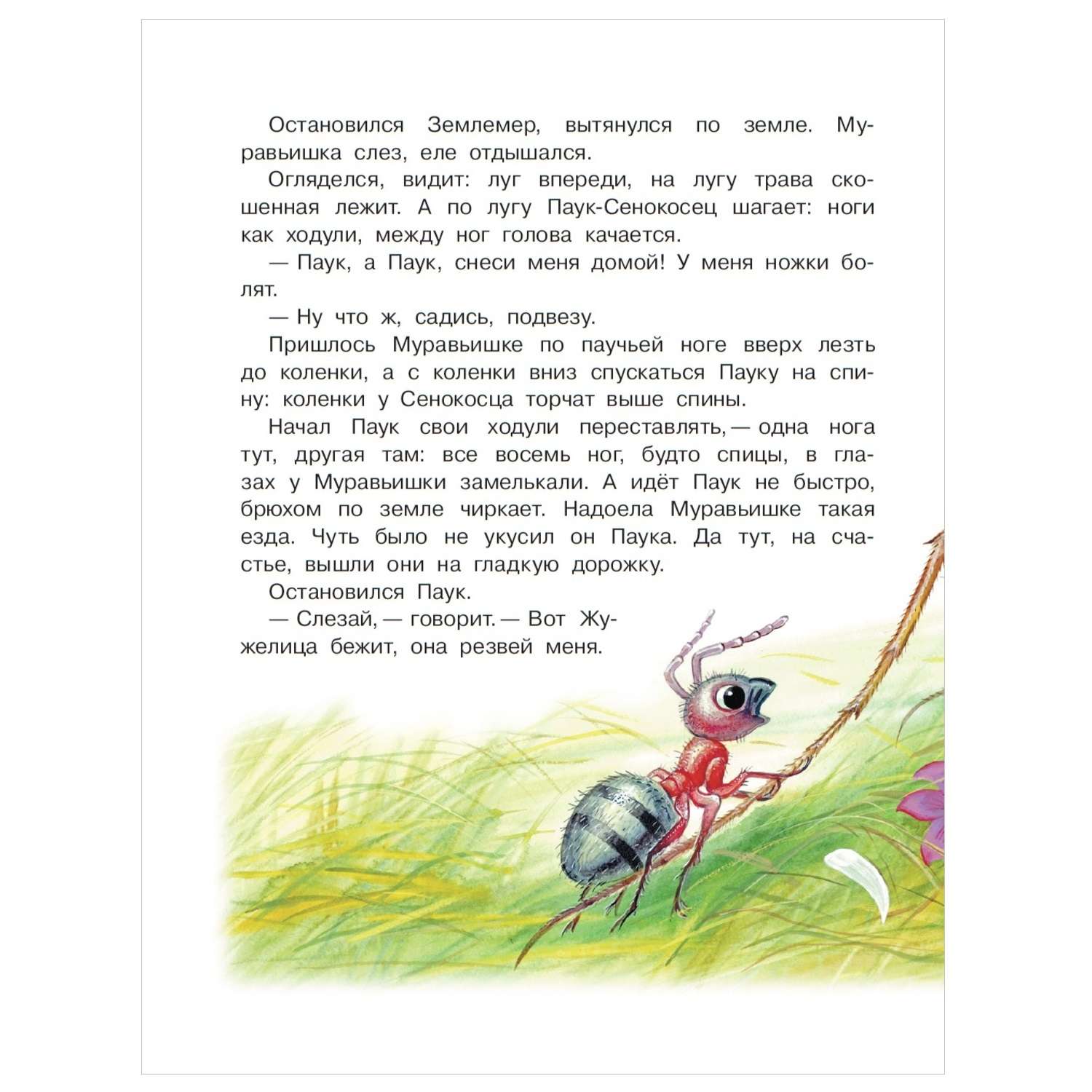 Бианки в. в. "приключения муравьишки". Бианки в.в. "как муравьишка домой спешил". Как муравьишка домой спешил Бианки читательский дневник. Бианки иллюстрации.