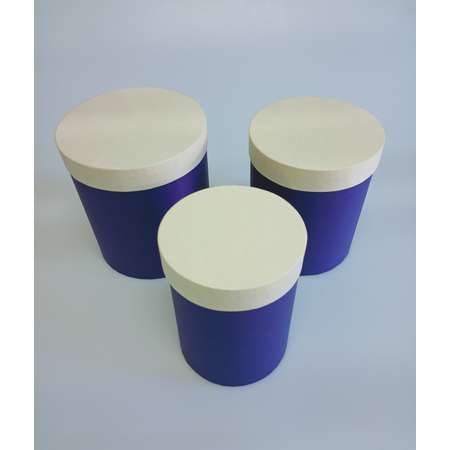 Набор подарочных коробок Cartonnage Набор из 3 круглых Радуга бежевый фиолетовый