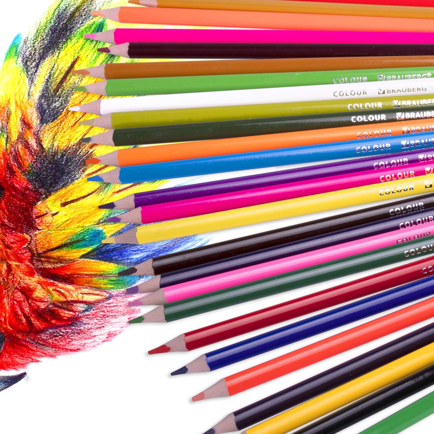Карандаши цветные Brauberg художественные для рисования 36 цветов трехгранные - фото 2