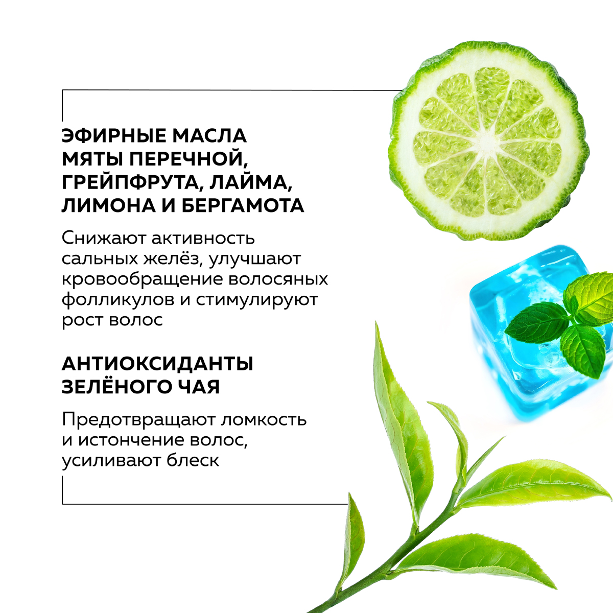 Шампунь для жирных волос GREENNOVA освежающий Mint Tea 1000 мл - фото 4