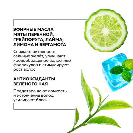 Шампунь для жирных волос GREENNOVA освежающий Mint Tea 1000 мл