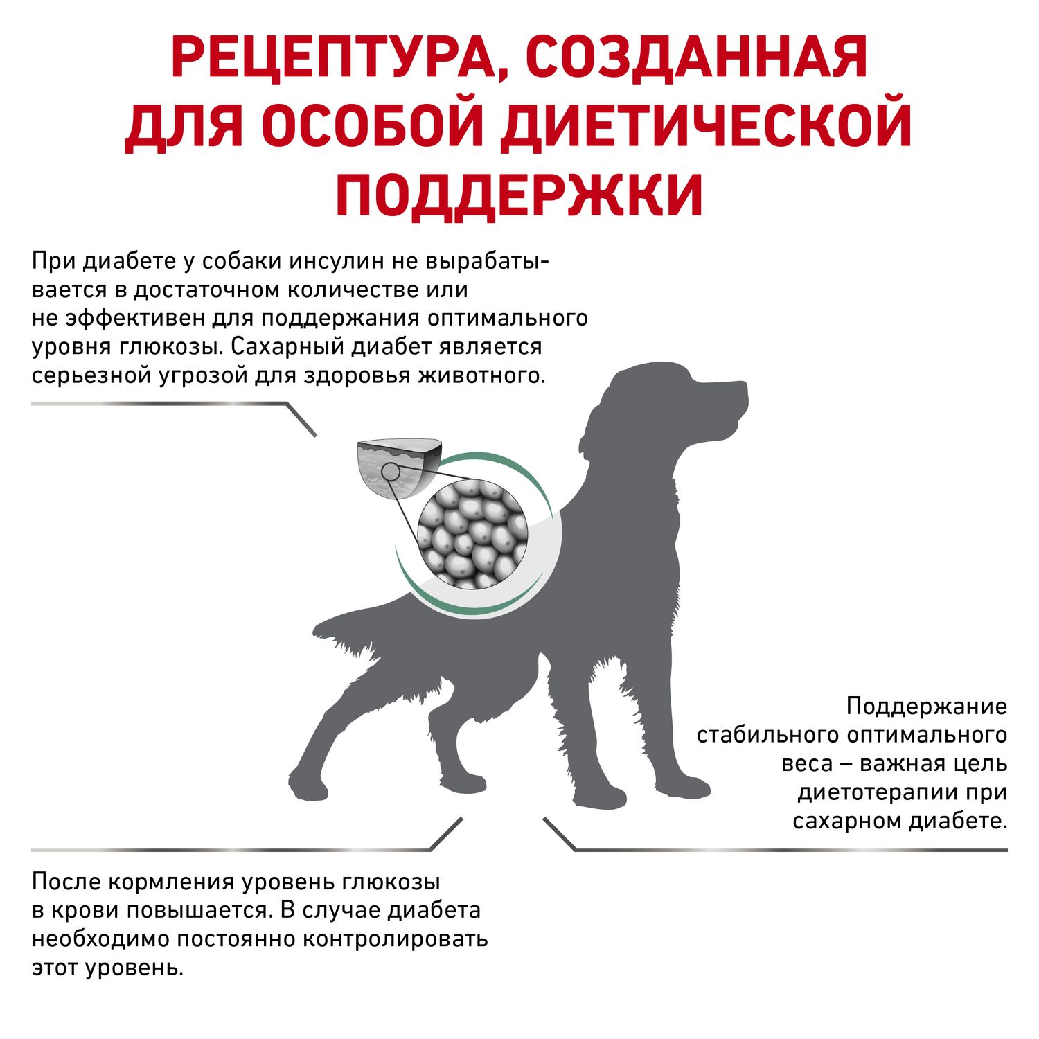 Корм для собак ROYAL CANIN Diabetic при сахарном диабете 1,5 кг купить по  цене 1958 ₽ с доставкой в Москве и России, отзывы, фото