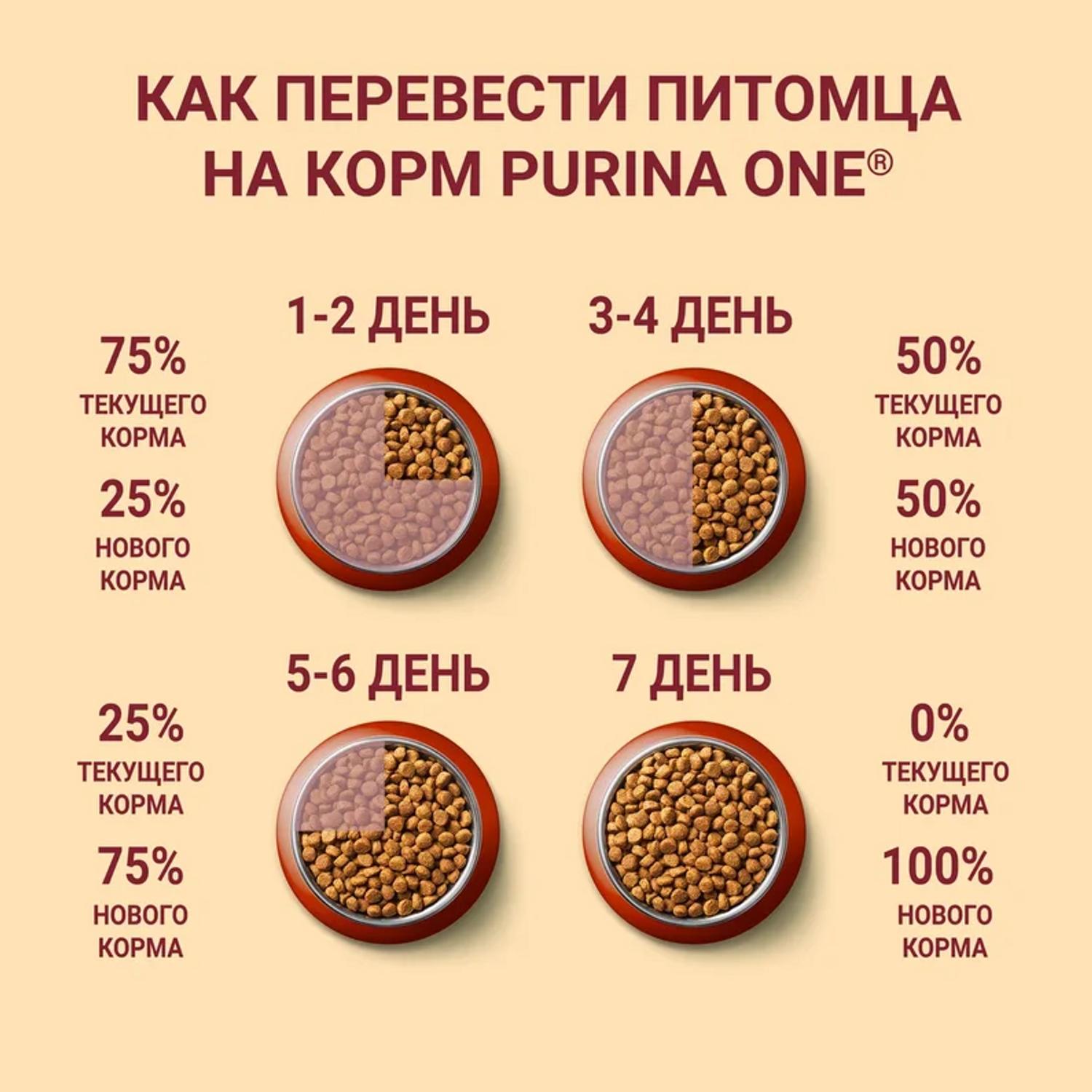 Корм для собак Purina One Mini активных мелких пород курица-рис 1.5кг - фото 9