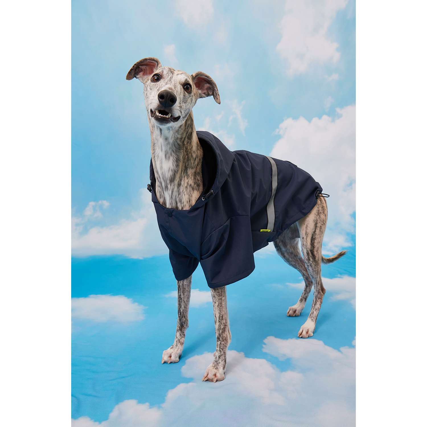 Куртка-дождевик для собак Зоозавр тёмно-синяя 60 - фото 8