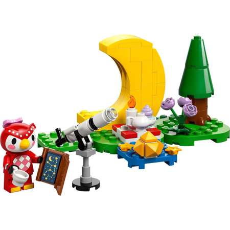 Конструктор LEGO Animal Crossing Наблюдение за звездами блочный