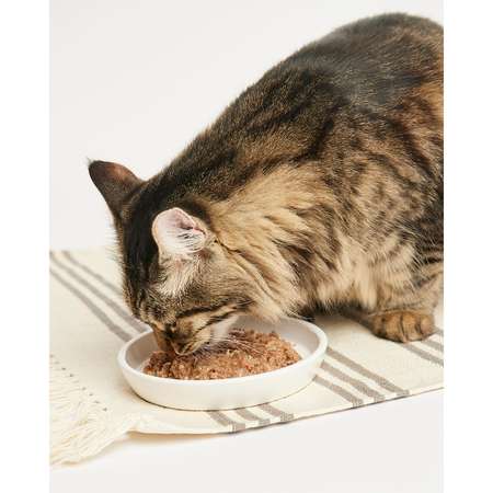 Корм для кошек Harty 100г паштет с уткой и перепелкой для взрослых консервированный