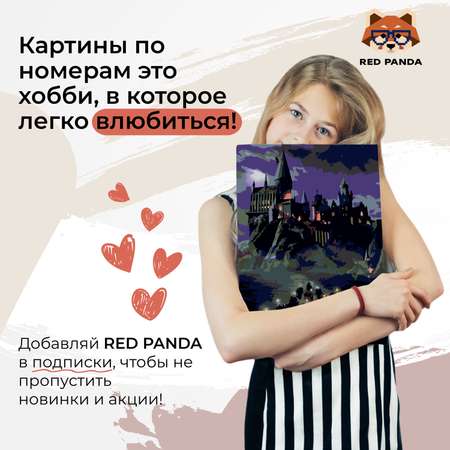 Картина по номерам Red Panda Прибытие в Хогвартс