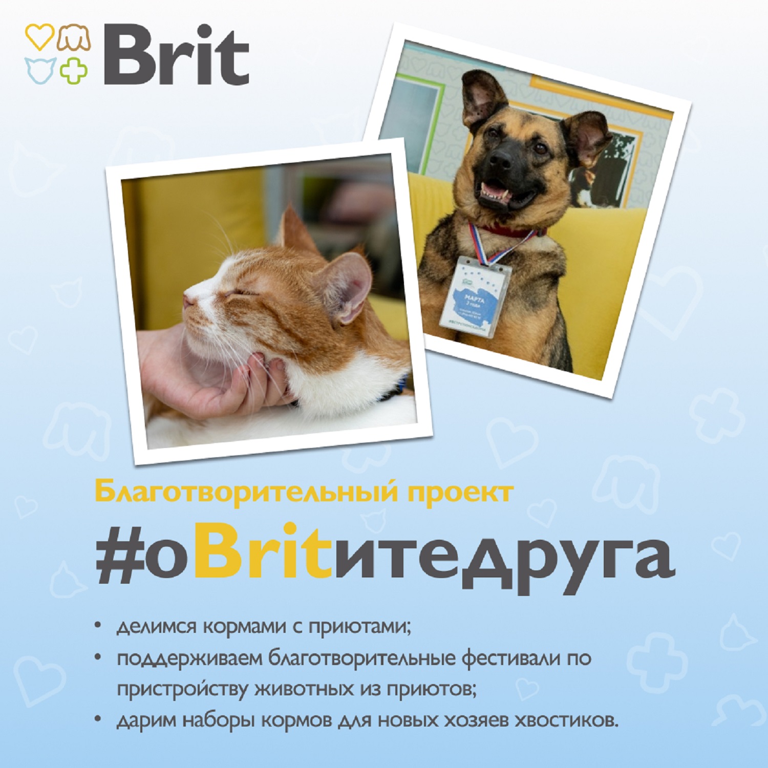 Паштет воздушный Brit Premium 100г для собак мини пород с чувствительным пищеварением Ягнёнок - фото 8