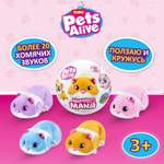 Игрушка Pets Alive Hamstermania Шар в непрозрачной упаковке (Сюрприз) 9543