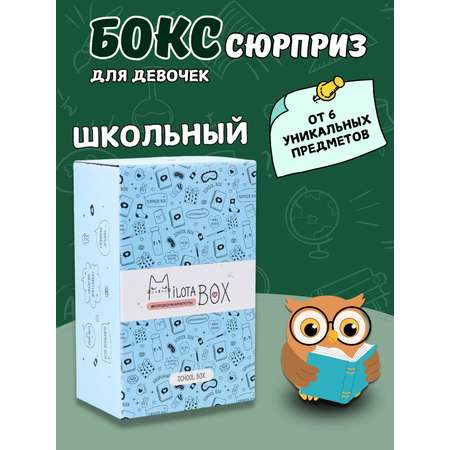 Подарочный бокс для девочки iLikeGift Milota Box mini школа