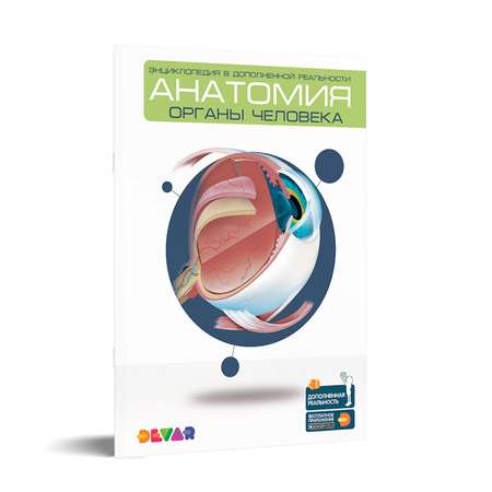 Книга DEVAR 4D Энциклопедия в мягкой обложке. Анатомия: органы человека