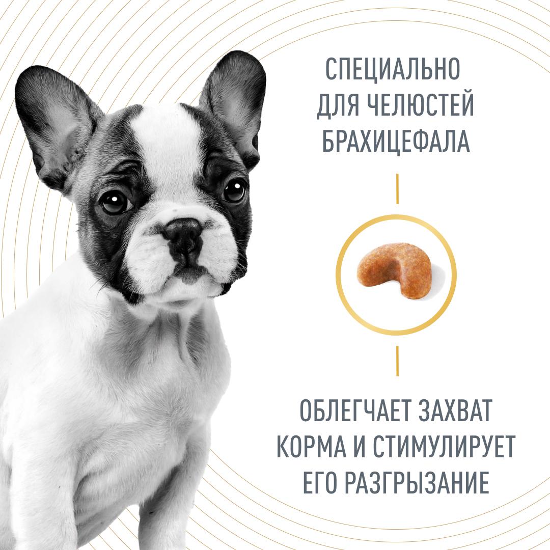 Сухой корм для собак ROYAL CANIN 10 кг птица (полнорационный) - фото 3