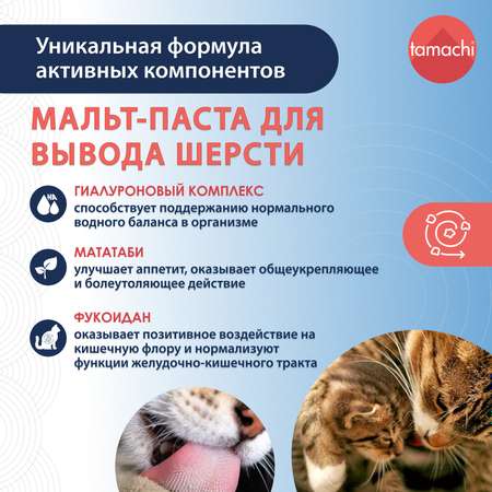 Паста для кошек Tamachi Мальт для вывода шерсти 100мл