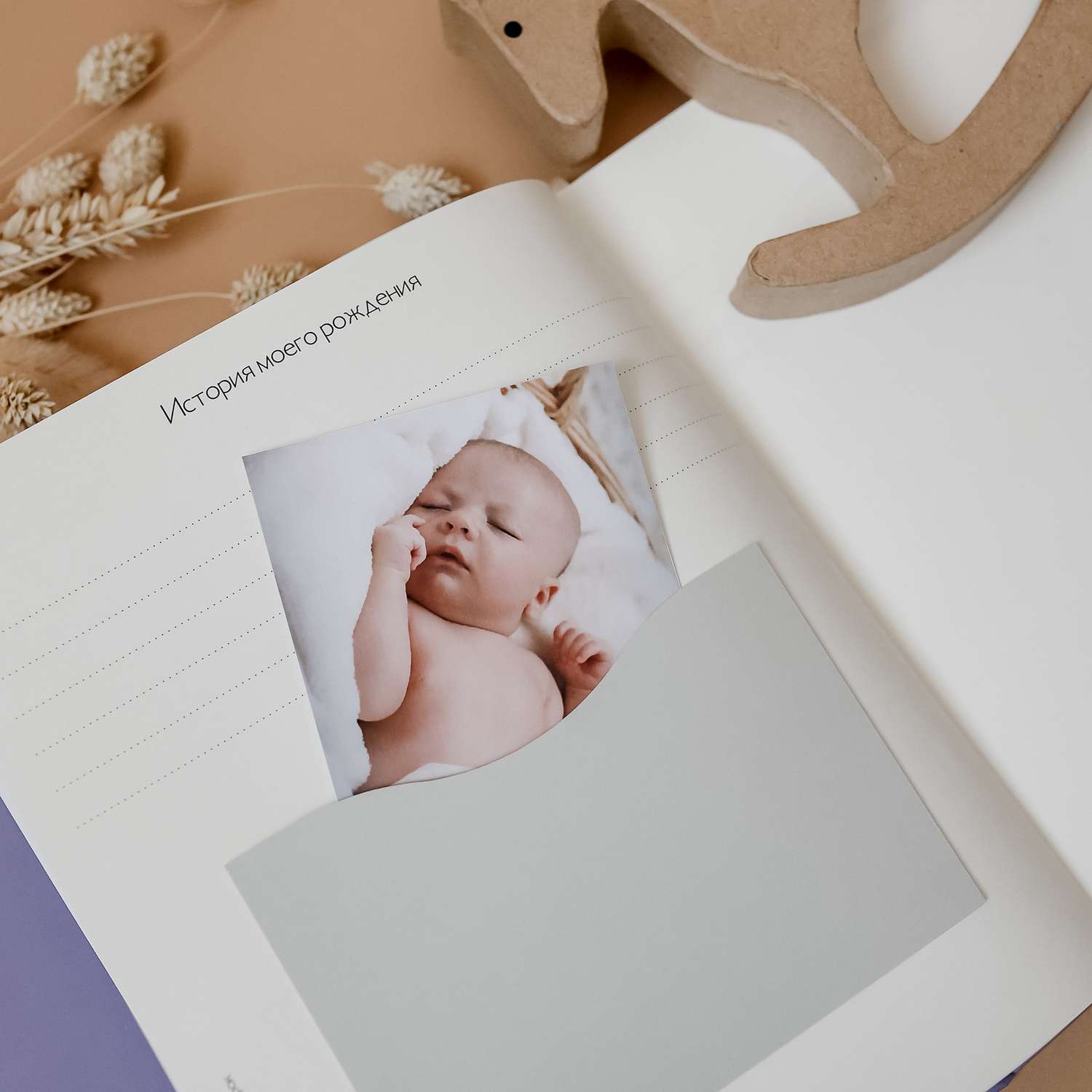 Альбом для новорожденных Amabook Лаванда - фото 11