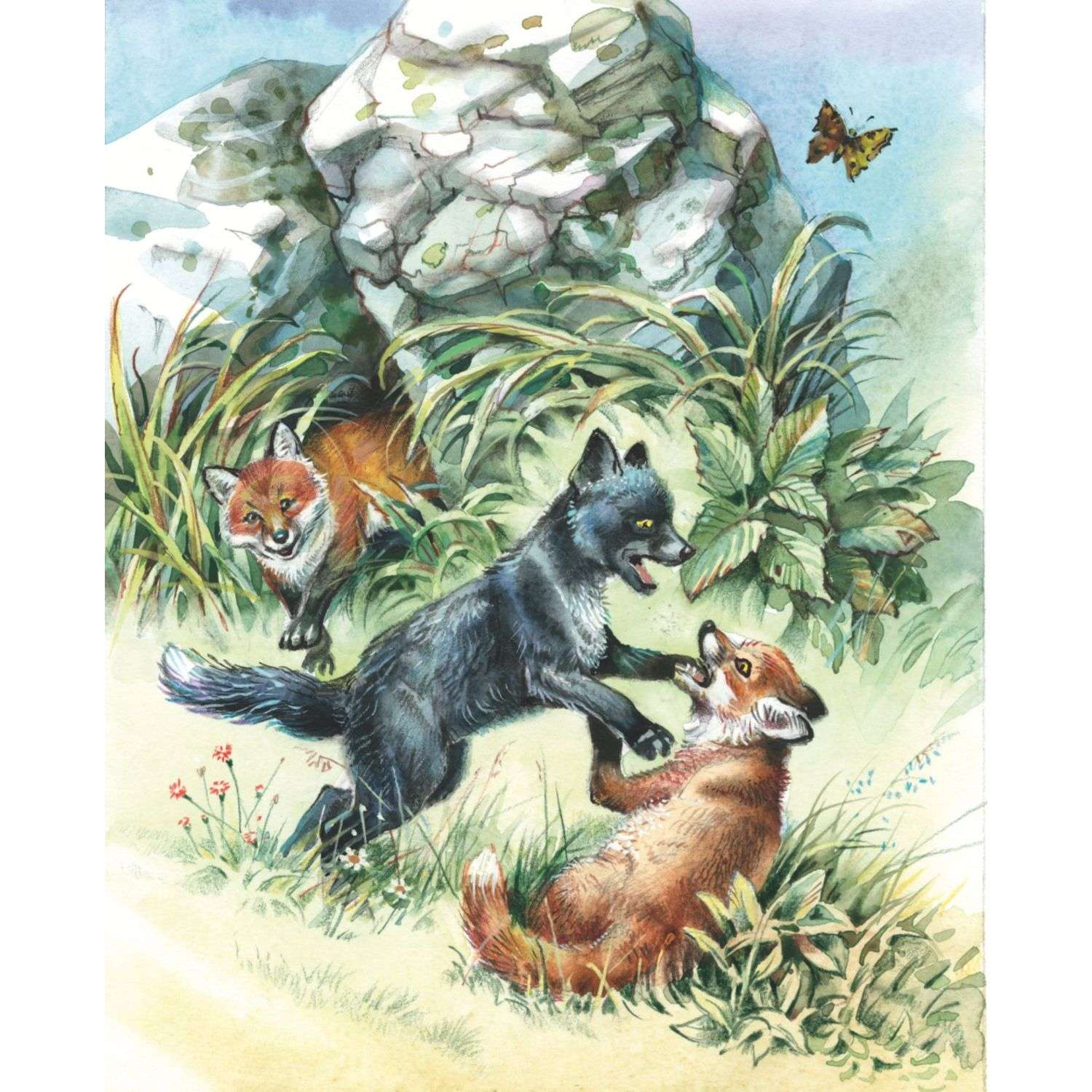 Книга Рассказы о животных иллюстрации Канивца - фото 9
